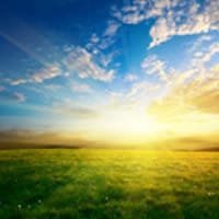 Vibrant sunrise over a grassy field.