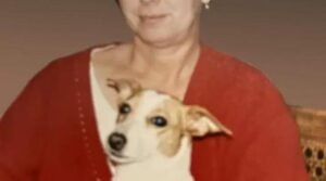 KELLY, Anne Triggs née Kelly