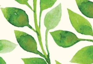 BOYLE, Timothy Craig Boyle