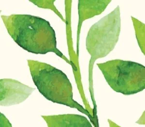 CARDY, Gladys Eleanor Cardy