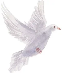 DAVIES, Judy Kay Davies