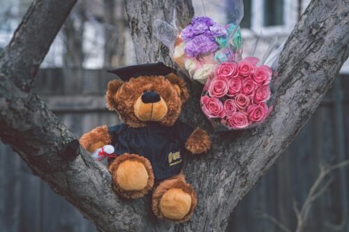 Glen Echo Florist