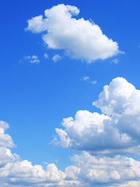 GIDNEY, Robert Gidney