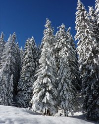 BRYENTON, Kenneth William Bryenton