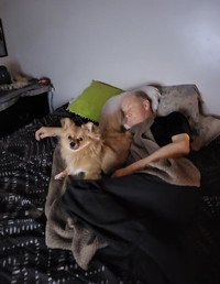 MACLEAN, Steven George MacLean