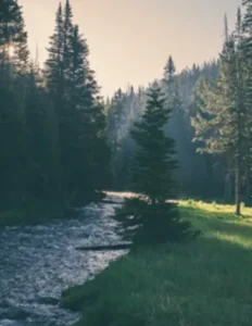 TREMBLAY, Gary Omer Tremblay