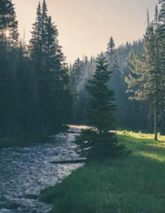 TREMBLAY, Gary Omer Tremblay