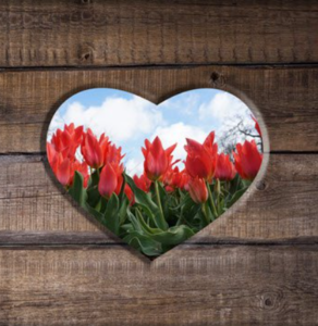 STANTON, Richard George Stanton