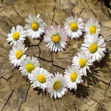 AMATTO, Reginald Amatto