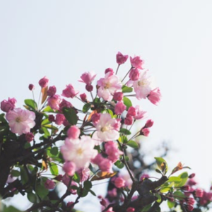 CROFT, Jack William George Croft