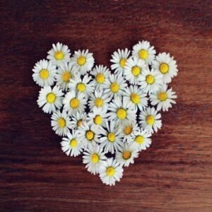 MOORE, Tara Lee Moore