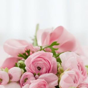 DUNN, Michael A. Dunn