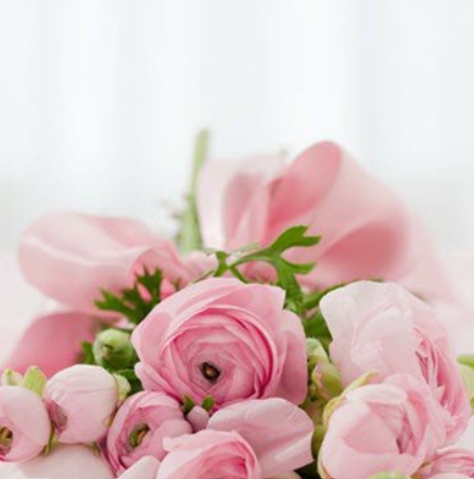 DESANTIS, Filomena DeSantis