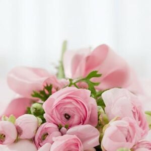 GIRARD, Daniel Paul Joseph Girard