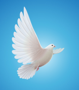 JANTZI, John L JANTZI