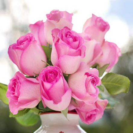 Bouquet of pink roses in white vase.