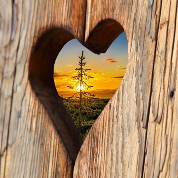 Heart-shaped hole reveals sunset over tree.