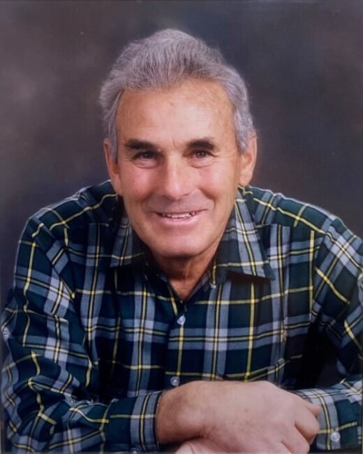 Smiling man in plaid shirt portrait.