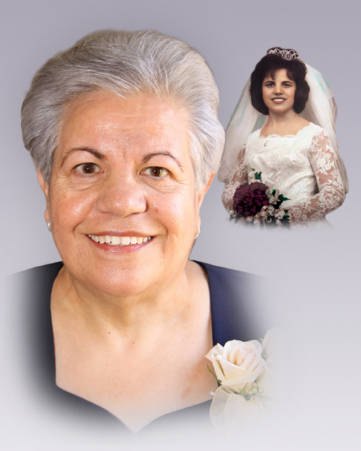 vincenza politi nee fasulo