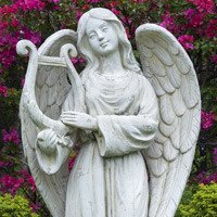 Angel statue with harp among pink flowers