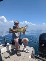 Person holding fish on boat in sunny weather.