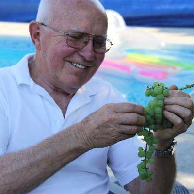 Elderly man smiling while holding green grapes.