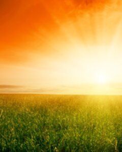 ZHANG, Ziguang Zhang Vibrant sunrise over grassy field