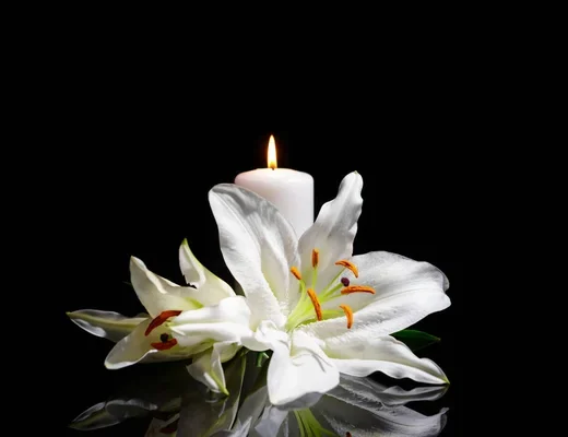 depositphotos 254549016 stock photo funeral lily flowers and burning (1)