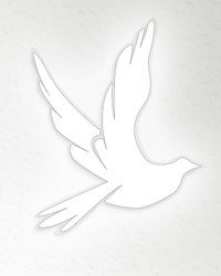 Silhouette of a flying dove on white background.