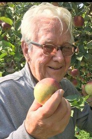 Person holding apple in orchard