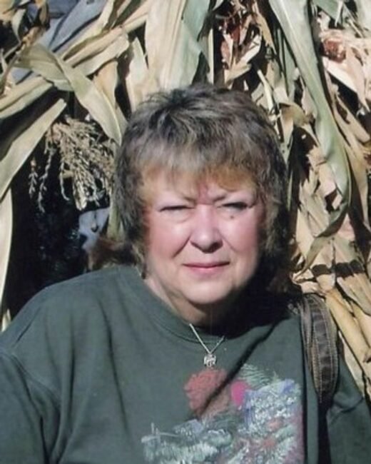 Person in cornfield on a sunny day.