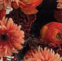 Close-up of orange flowers in a bouquet.
