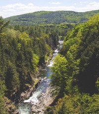 Scenic forest river flowing through green valley