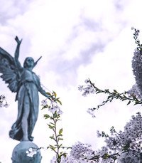 Angel statue with lavender flowers and cloudy sky.