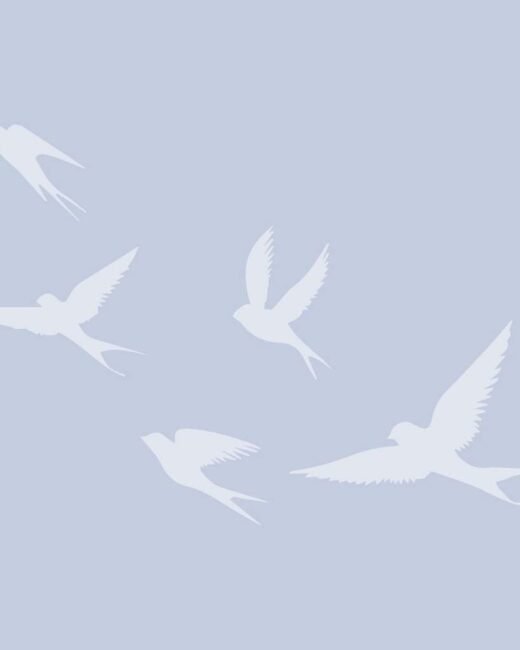 Silhouettes of five flying birds in the sky.
