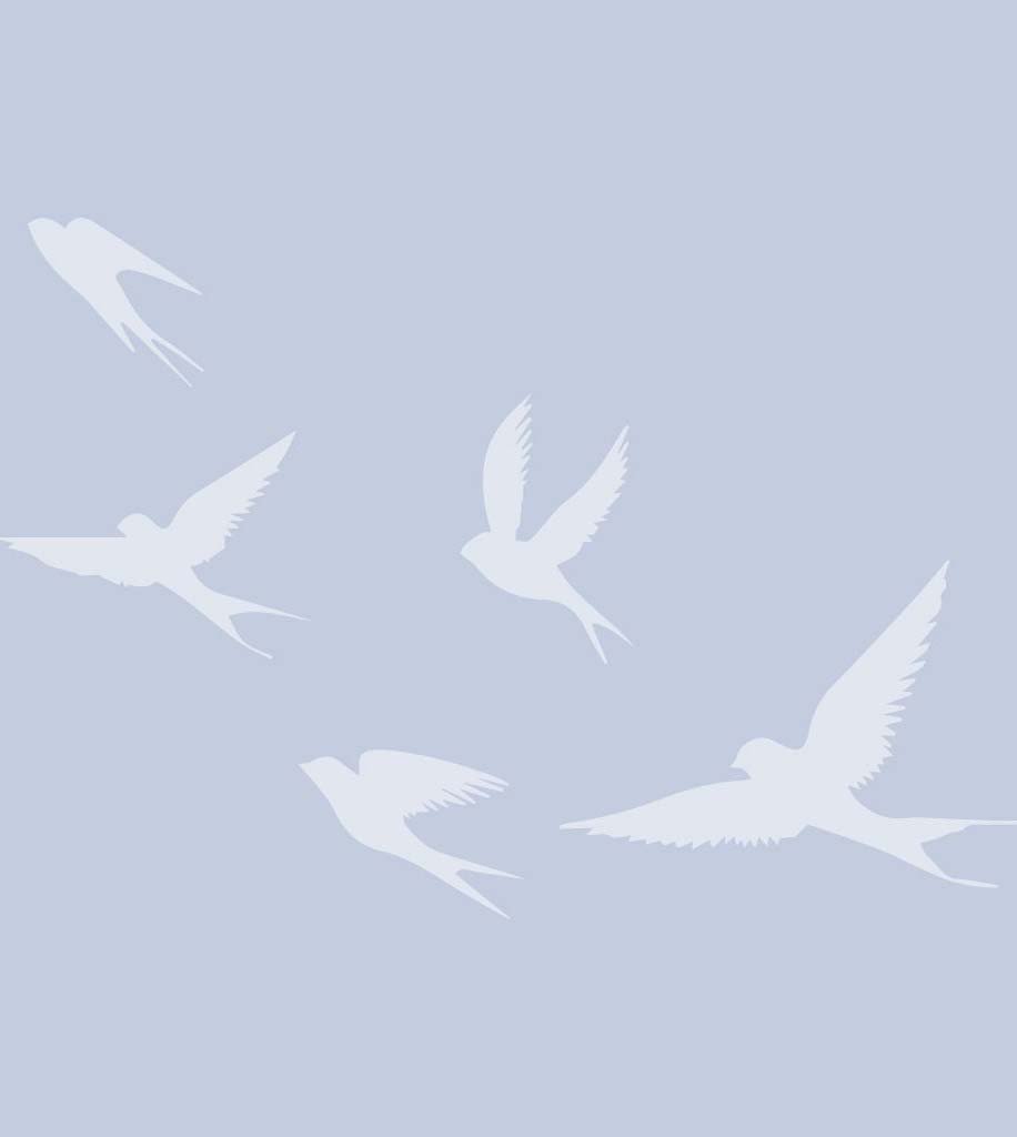 Silhouettes of five flying birds in the sky.