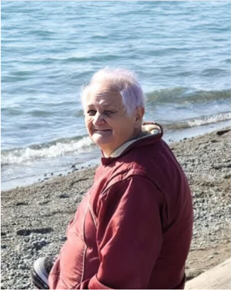Person in red jacket by the ocean shore