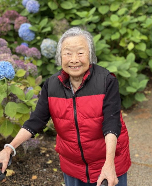 Smiling person in garden with hydrangeas