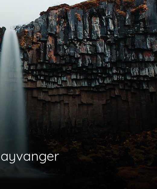 wilhelmus kraayvanger obituary